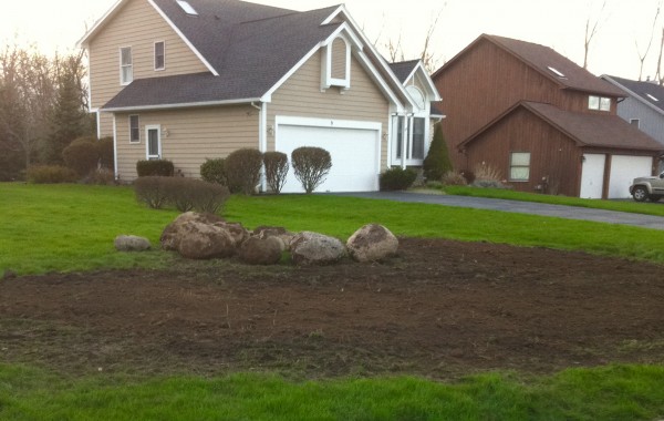 Berm Removal