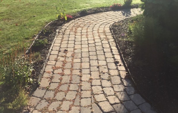 Patio Rebuilds with existing block!