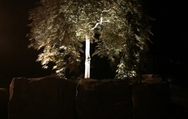 Landscape Lighting